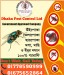 pest control service Dhaka Bangladesh